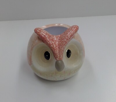 Owl Pot Pink