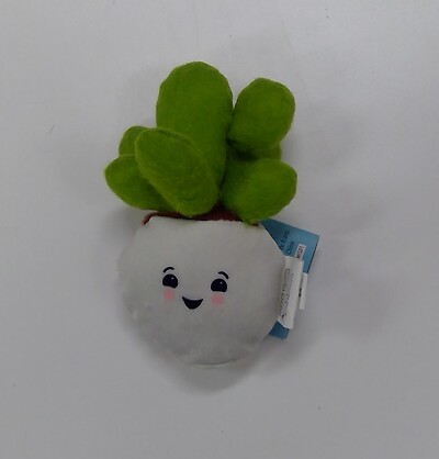 Mini Plush Succulent