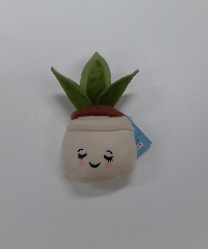 Mini Plush Succulent