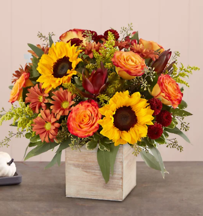 Fall box arrangement