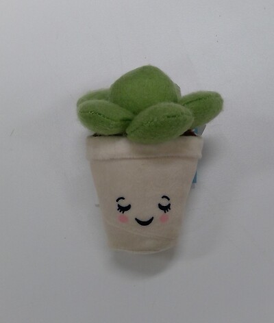 Mini Plush Succulent